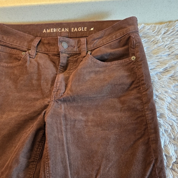 American Eagle 90's Straight Leg Brown Corduroy Pants Size 8 - Picture 8 of 16